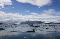 IMG_7181