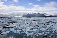 IMG_7175