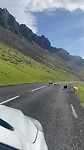 IMG_1683