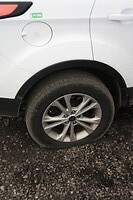 IMG_7232