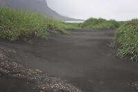 IMG_7235