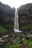 IMG_7294