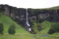 IMG_7307