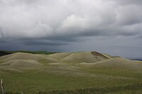 IMG_7439