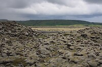 IMG_7442