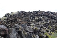 IMG_7447