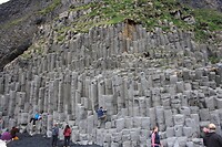 IMG_7471