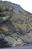 IMG_7477