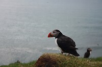 IMG_7417