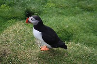IMG_7414