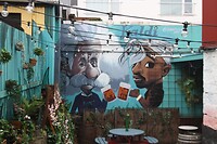 IMG_7502