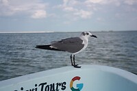 IMG_7582