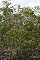 IMG_7538