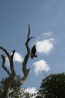 IMG_7546