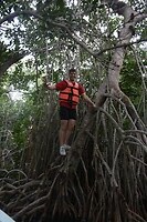 IMG_7549