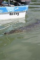 IMG_7560