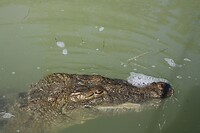 IMG_7565