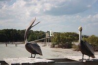 IMG_7578