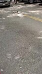 1000014955