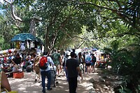 IMG_7744