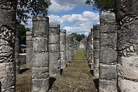 IMG_7748