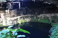 IMG_7794