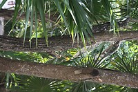 IMG_8012