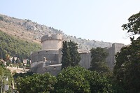 IMG_8017
