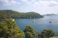IMG_8061