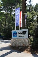 IMG_8068