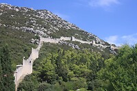 IMG_8142