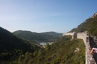 IMG_8129