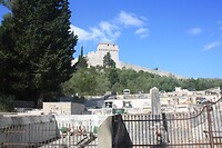 IMG_8144