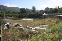 IMG_8146