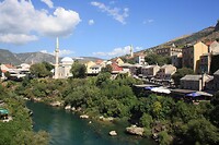 IMG_8155