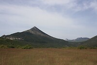 IMG_8178