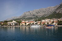 IMG_8208