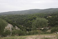 IMG_8249