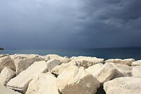 IMG_8264