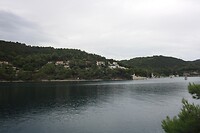 IMG_8241
