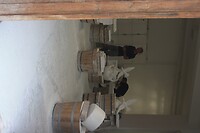 IMG_8238