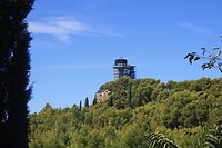 IMG_8317