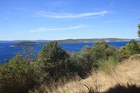IMG_8315