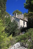 IMG_8320
