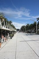 IMG_8353