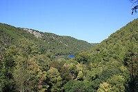 IMG_8391