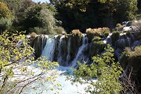 IMG_8397
