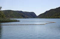 IMG_8403