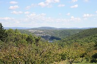 IMG_8406