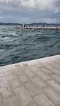 1000032672